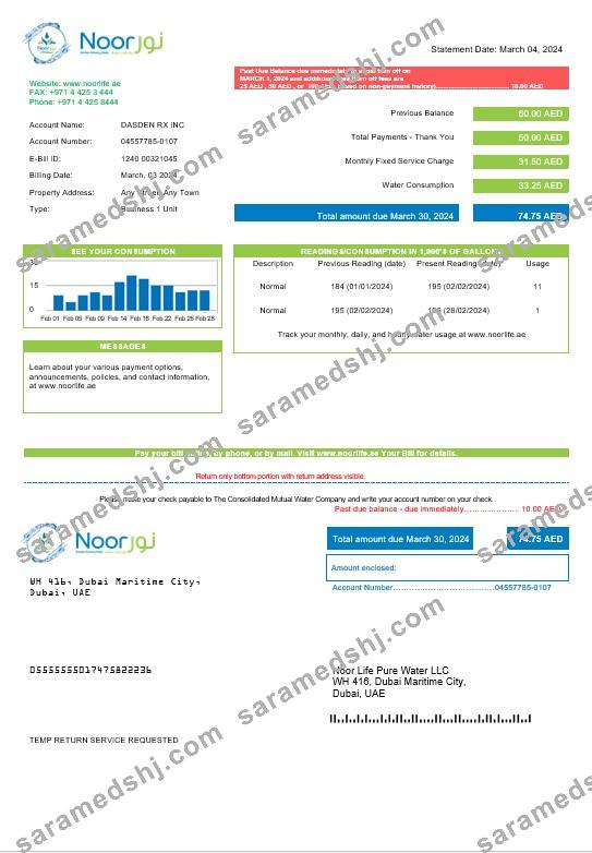 UAE Noor Life Pure Water LLC business utility bill template in Word and PDF formats